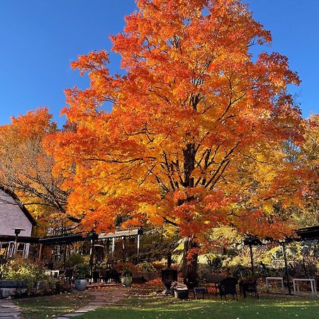 Domaine Jolivent Hotel Lac-Brome Buitenkant foto