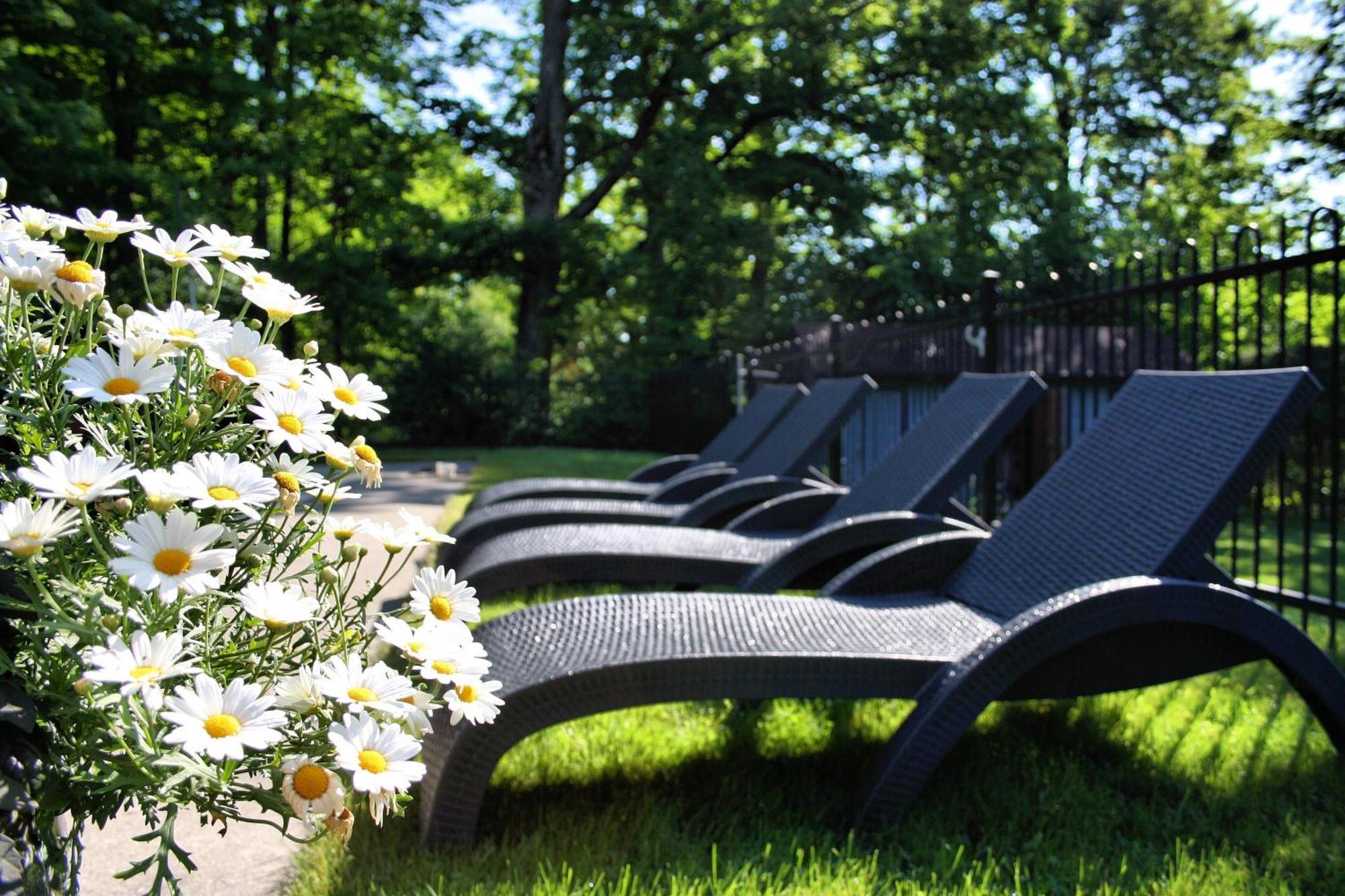 Domaine Jolivent Hotel Lac-Brome Buitenkant foto