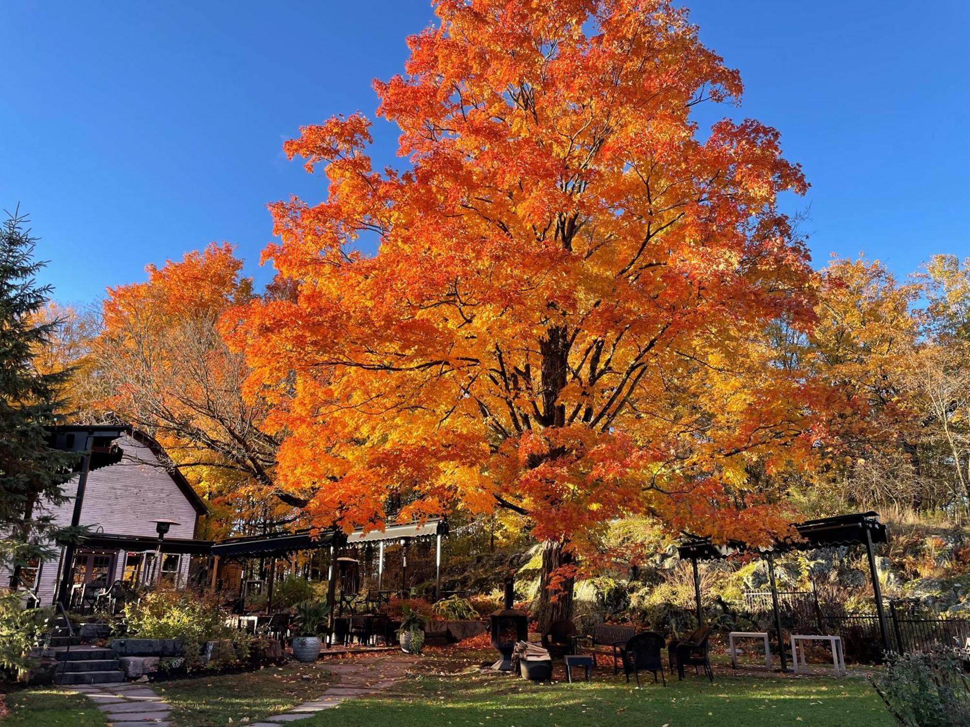 Domaine Jolivent Hotel Lac-Brome Buitenkant foto